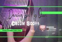 Dancing On My Own Dancing on my own Kalimba tabs