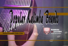 Popular Kalimba Brands Popular Kalimba Brands
