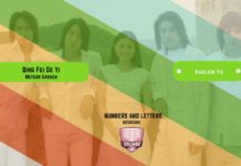 Qing Fei De Yi Qing Fei De Yi Kalimba Tabs